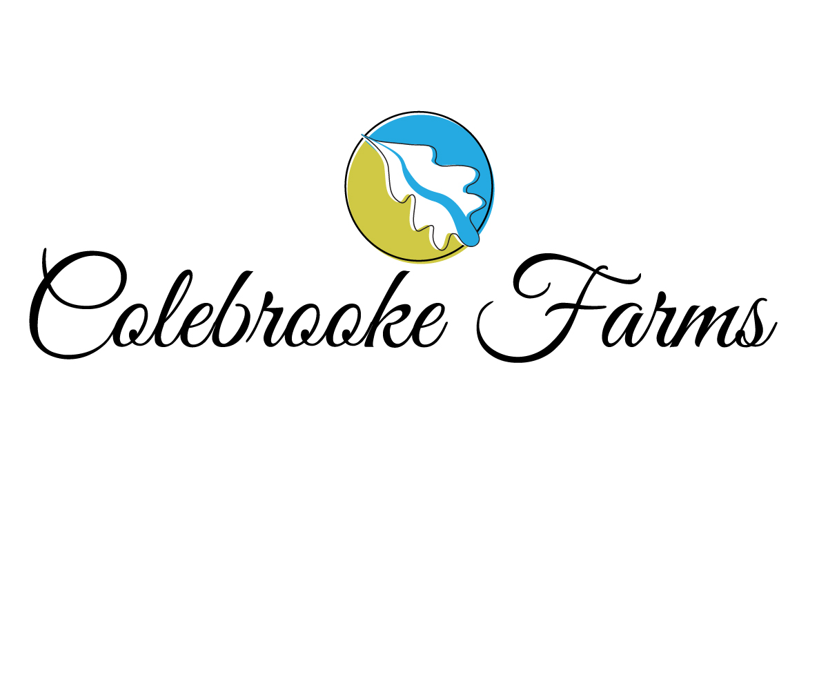 Logo Design by eayeri for this project | Design #5934902