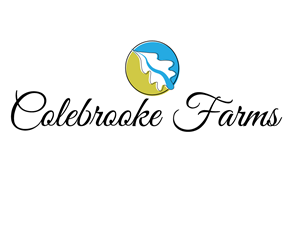 Logo Design by eayeri for this project | Design: #5934902