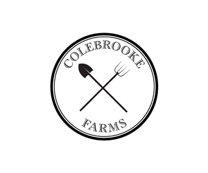 Logo Design by typeface