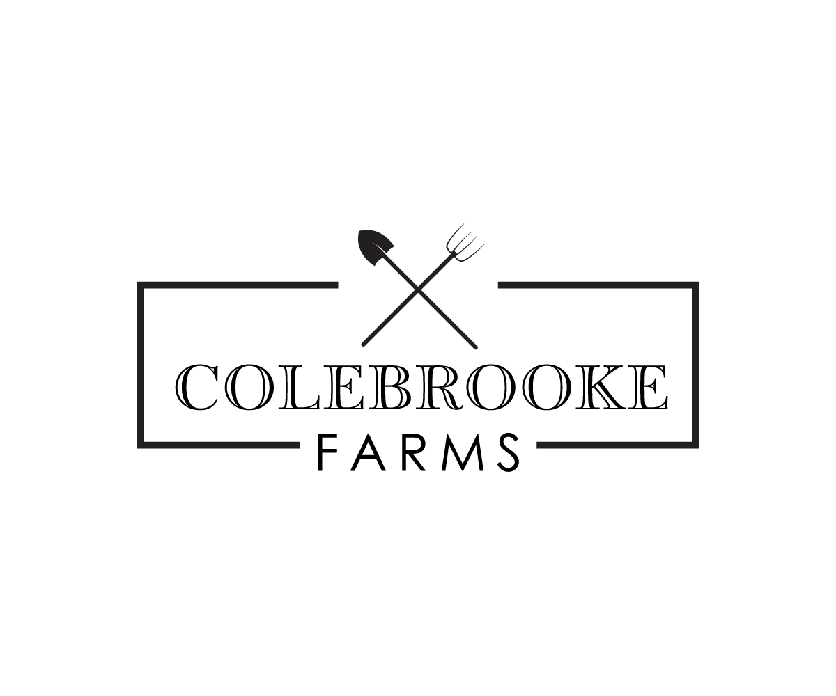 Logo Design by typeface for this project | Design #5805945