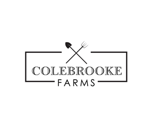 Logo Design by typeface for this project | Design: #5805945