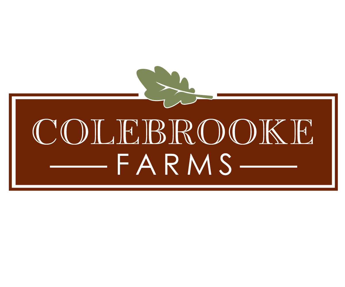 Logo Design by typeface for this project | Design #5911002
