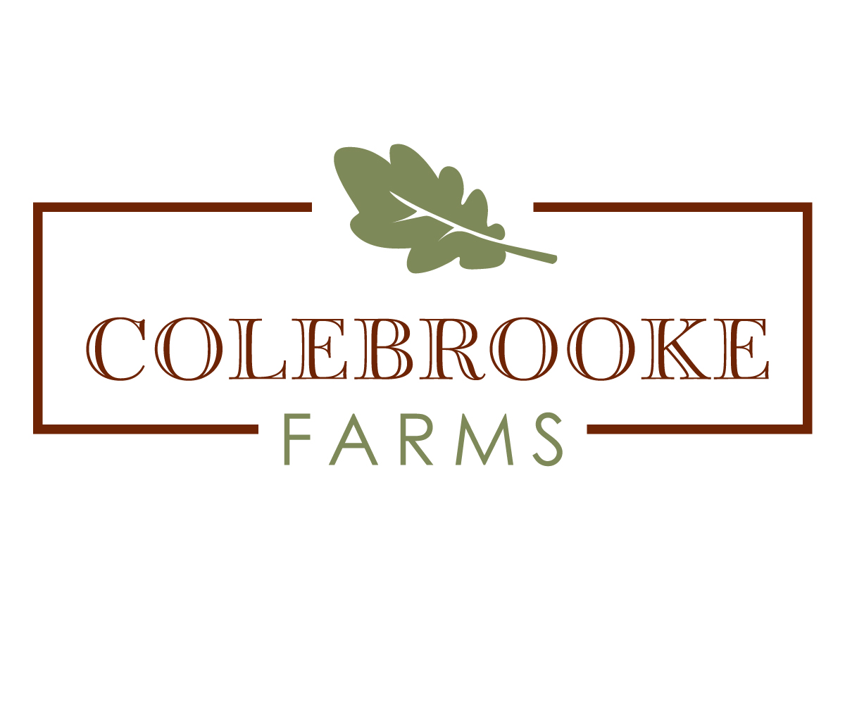 Logo Design by typeface for this project | Design #5911075