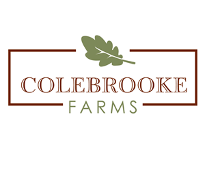 Logo Design by typeface for this project | Design: #5911075