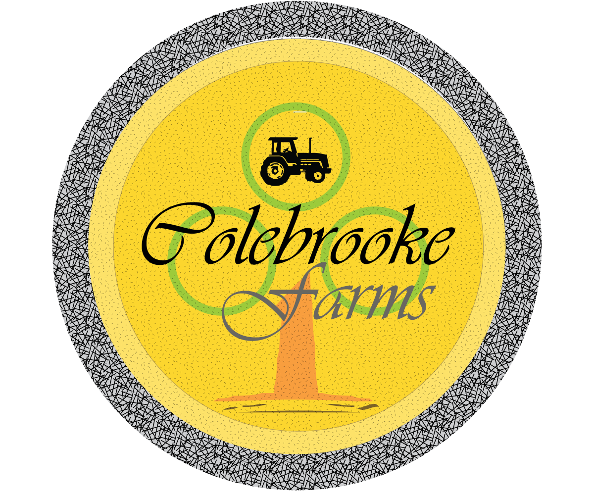 Logo Design by Essa 786 for this project | Design #5815961
