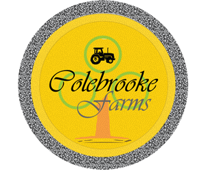 Logo Design by Essa 786
