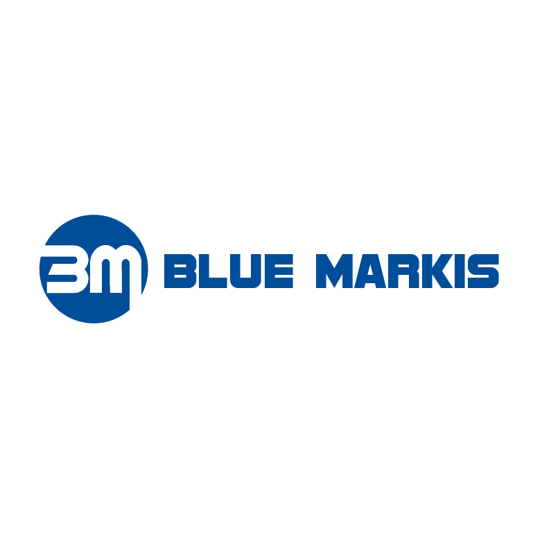 Logo Design by Design Possibilities for Grupo Blue Markis | Design #1586584