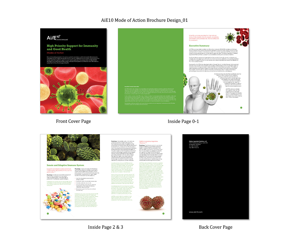 Brochure Design by SP Designwork for this project | Design #5976209