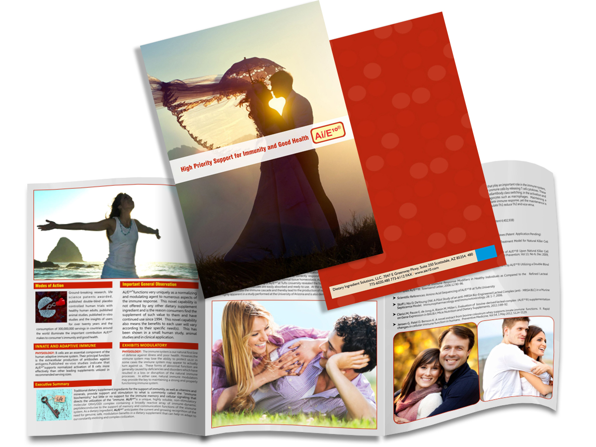 Brochure Design by Webrays for this project | Design #5897117