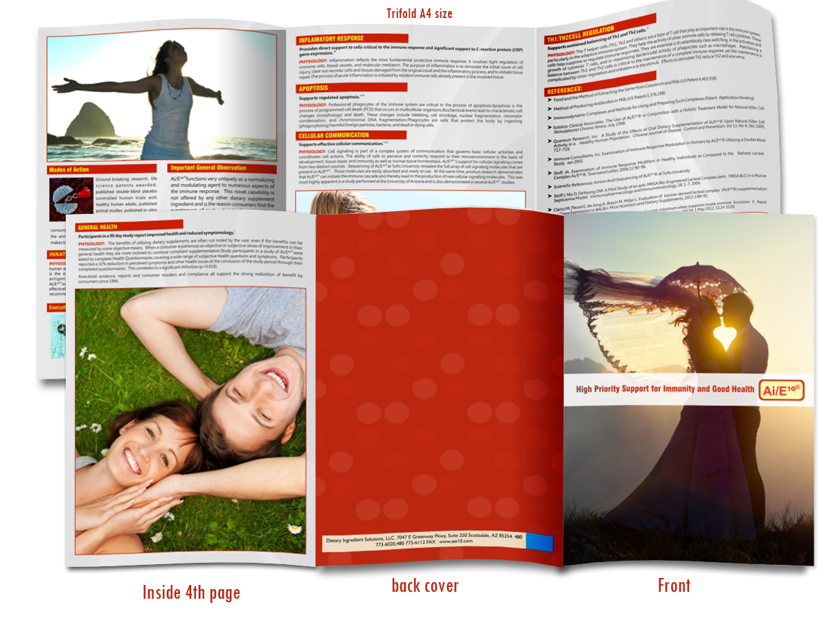 Brochure Design by Webrays for this project | Design #5897128