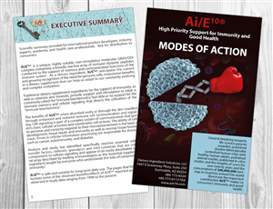 Brochure Design by Victor_pro for this project | Design: #5819837