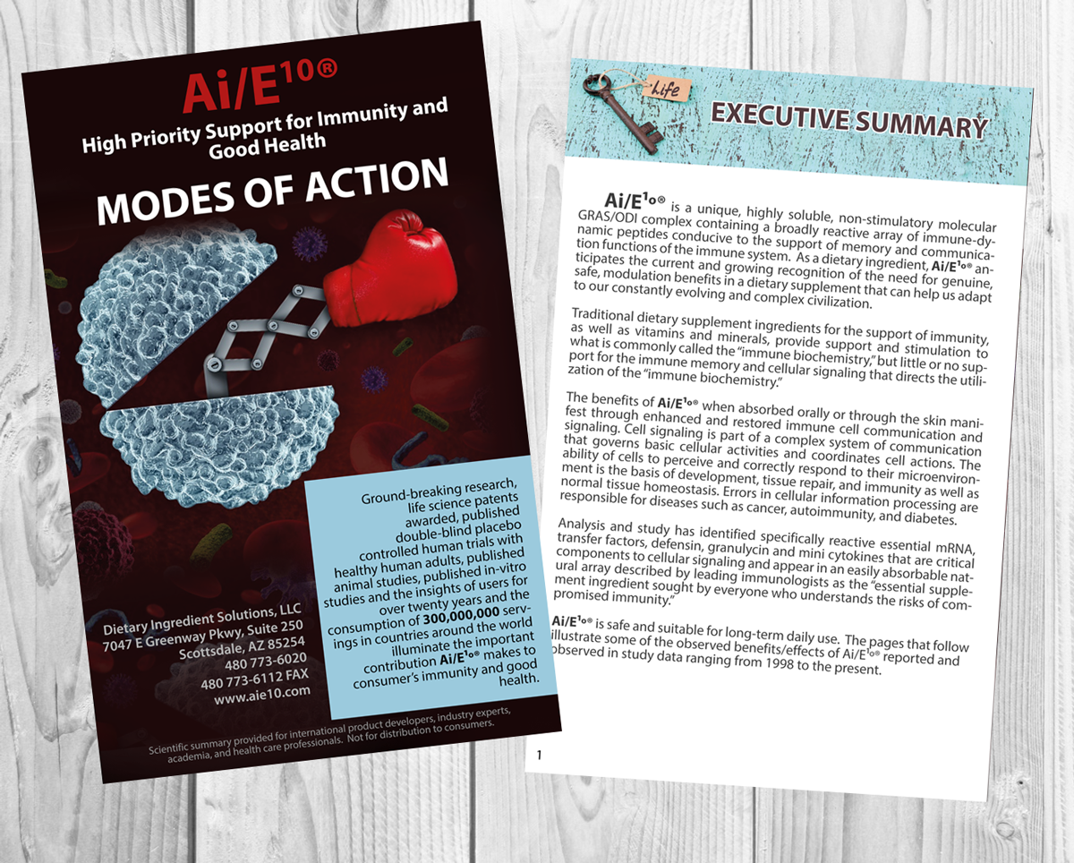 Brochure Design by Victor_pro for this project | Design #5839932