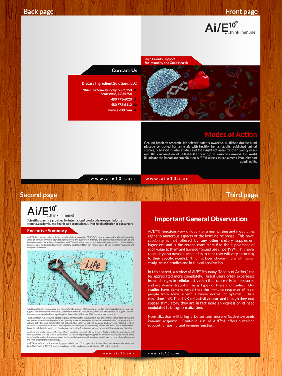 Diseño de Brochure por ESolz Technologies para este proyecto | Diseño #5977315