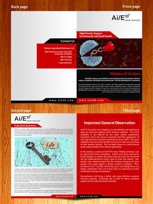 Brochure Design by ESolz Technologies for this project | Design #6109157
