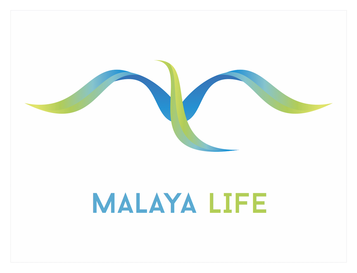 Logo and Business Card Design by brianritterdesign for this project | Design #5885219