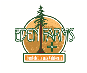 Logo Design by Hot Rod
