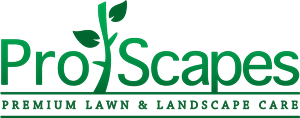 Logo Design by Ryan Barry