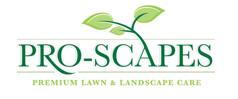 Logo Design by Vibrix Media for this project | Design #5825097