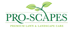 Logo Design by Vibrix Media
