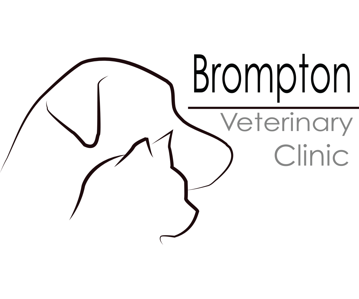 Logo Design by Ethan Finlinson for this project | Design #1582932