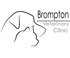 Logo Design by Ethan Finlinson