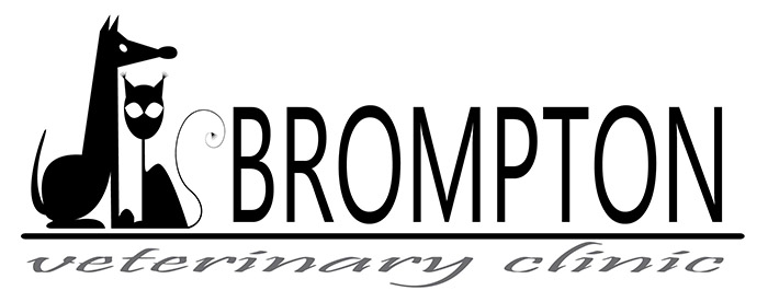 Logo-Design von como für dieses Projekt | Design #1602520