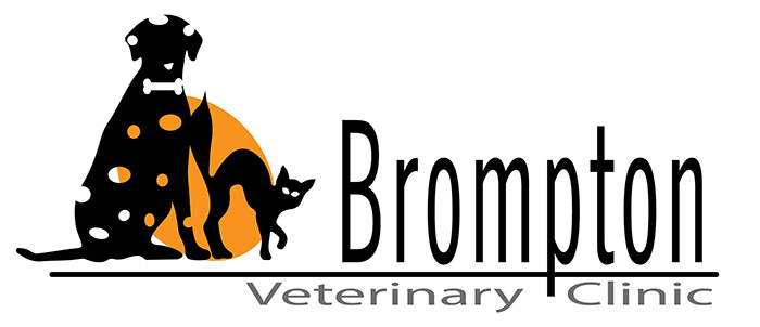 Logo Design by como for this project | Design #1602527