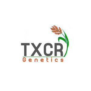 Logo Design by dasun pathiraja