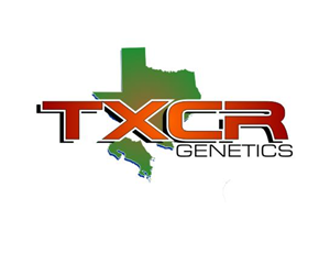 Logo Design by driver21winston100