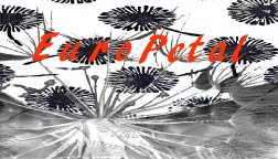 Logo Design by isb for Marias Fiorista.it | Design: #5831276