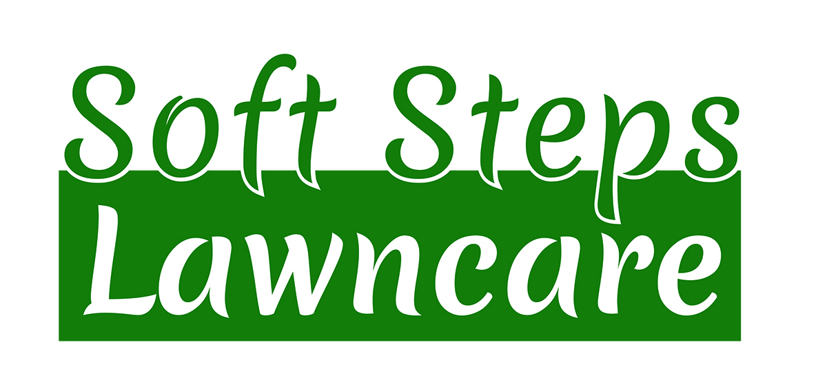 Logo-Design von SkyKings für dieses Projekt | Design #5839417