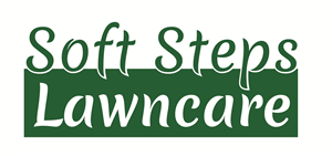 Logo Design by SkyKings