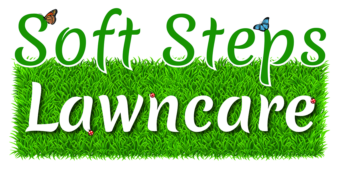 Logo-Design von SkyKings für dieses Projekt | Design #5851721