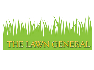 Logo Design by Martin Design