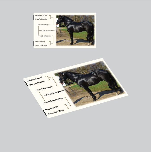 Diseño de Tarjeta de Presentación por GGV para este proyecto | Diseño #5873100