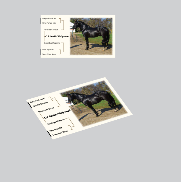 Business Card Design by GGV for this project | Design #5881914