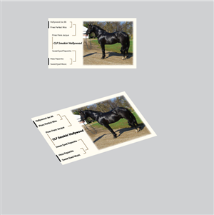 Business Card Design by GGV