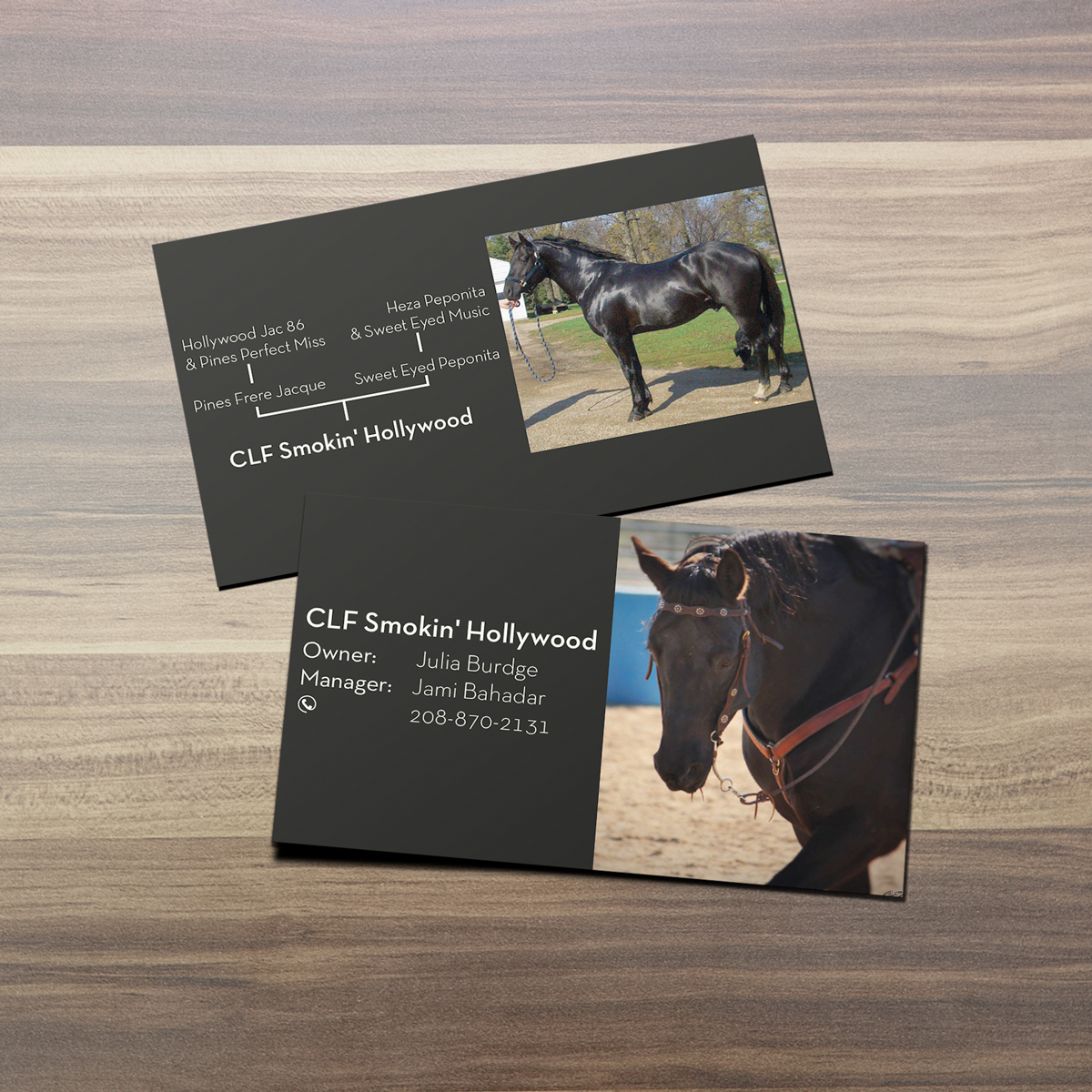 Diseño de Tarjeta de Presentación por isabel paoli para este proyecto | Diseño #5863667