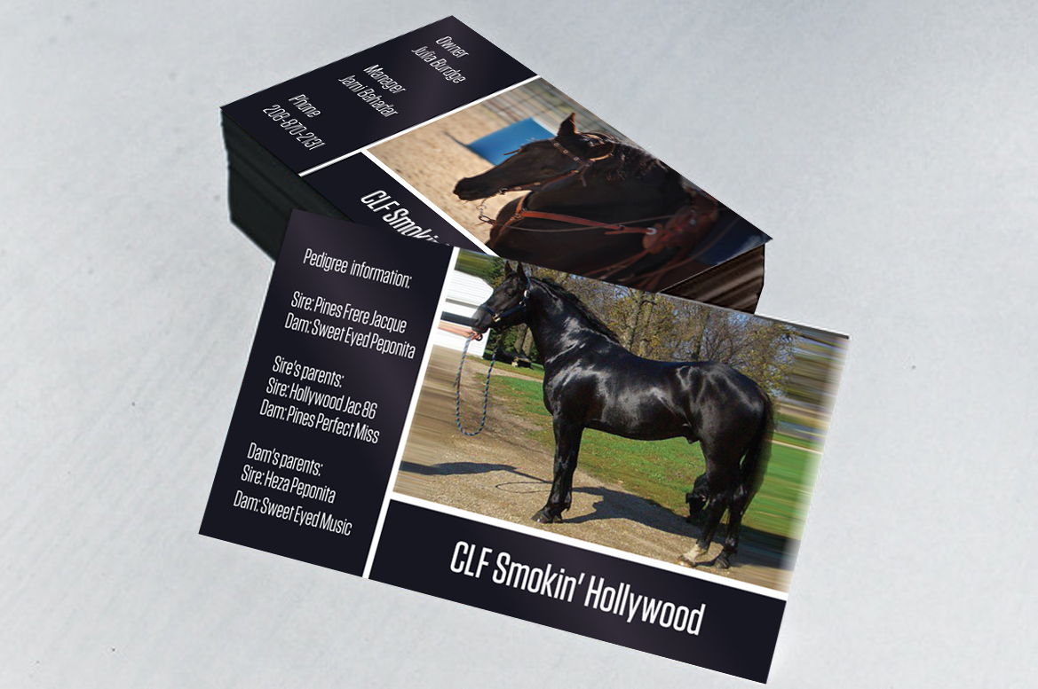 Visitenkarten-Design von Cyan Designs für dieses Projekt | Design #5868701