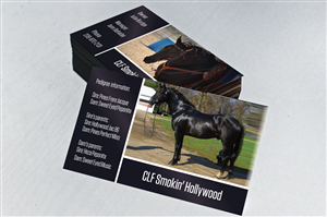 Business Card Design by Cyan Designs