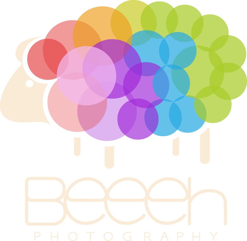 Logo Design by Cflo for this project | Design #318909