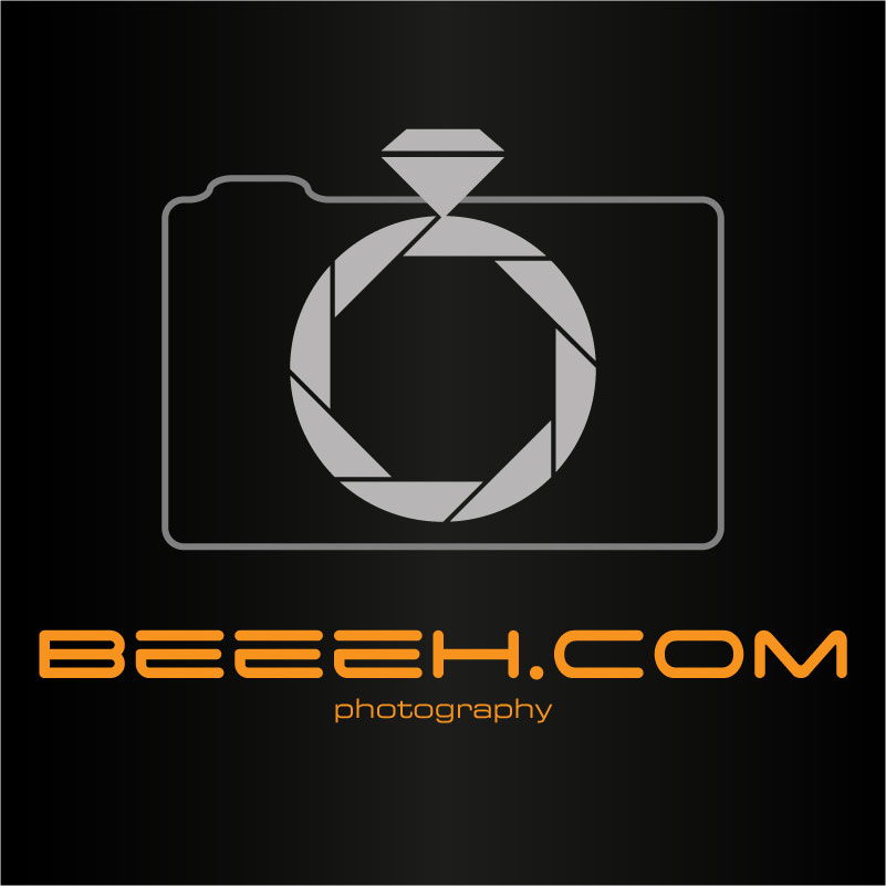 Logo Design by Graffical Sam for this project | Design #313956