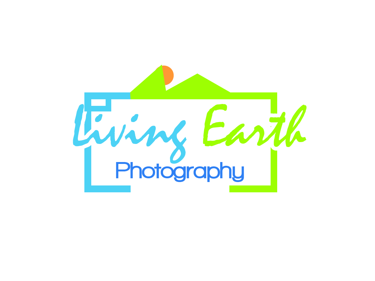 Logo Design by fontasdesign for this project | Design #5894065