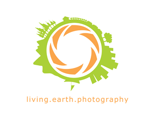 Logo Design by wanderingalby for this project | Design #5870257