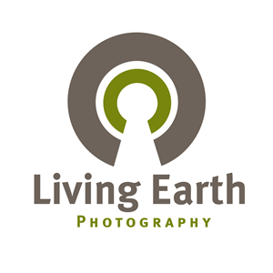 Logo-Design von Thomasdesign für dieses Projekt | Design: #5890402