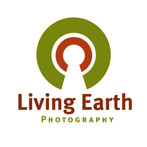 Logo-Design von Thomasdesign für dieses Projekt | Design: #5890404