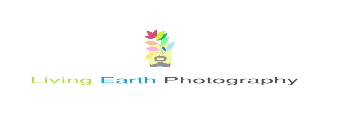 Logo Design by keiranagali for this project | Design #5899821