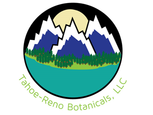 Logo Design by mciavarelli05
