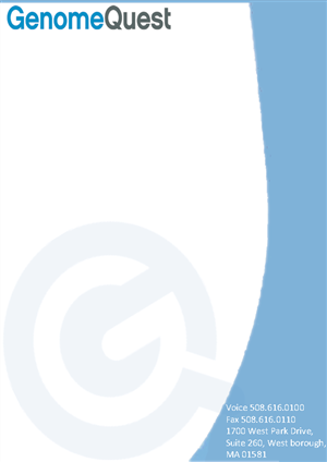 Letterhead Design by Nazal TK