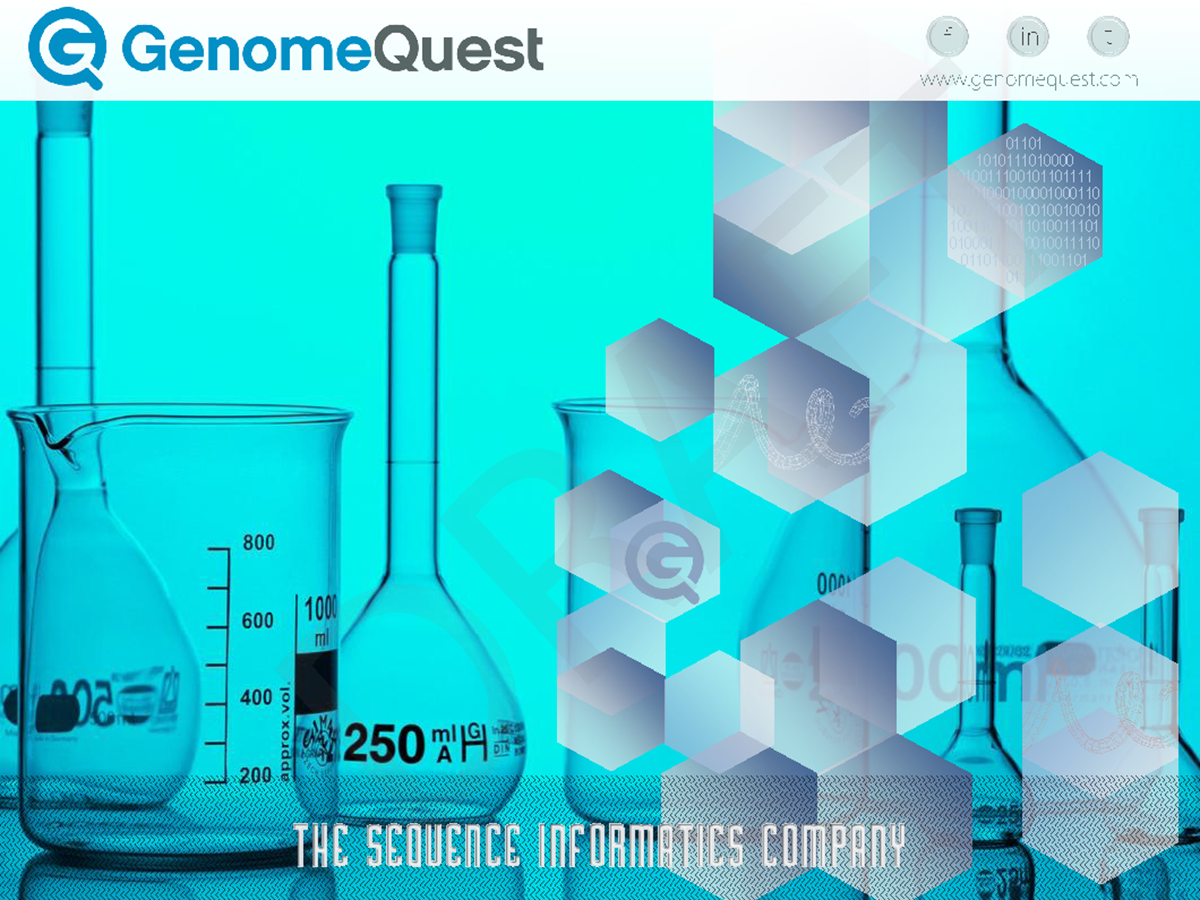 Design de PowerPoint par 100YAN pour GenomeQuest, Inc. | Design #1602572